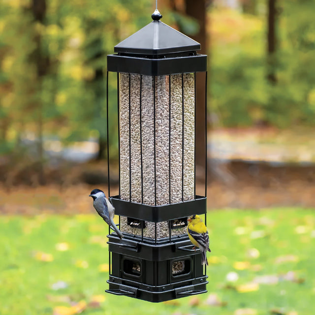 Squirrel Shield Advantage Cage Metal Bird Feeder with birds perched, featuring weight-activated perches and a clear tube for seed level visibility.