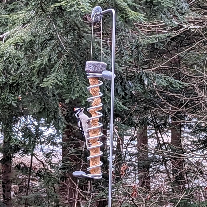 Sea Stones Flock Suet Plug Bird Feeder hanging outdoors, with a bird perched on it, highlighting its rustic design and functional stone perches.