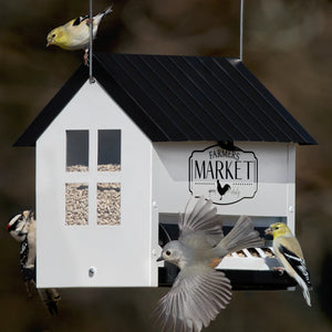 Squirrel Shield Hopper Feeder with dual feeding trays, weight-activated perches, clear seed windows, and a locking roof to prevent squirrel access.