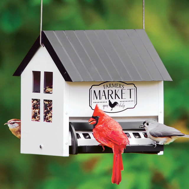 Squirrel Shield Hopper Feeder with clear plastic windows, weight-activated perches, and two feeding trays, featuring birds perched on the feeder.