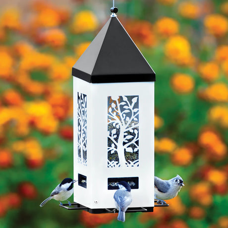 Squirrel Shield Lantern Feeder with birds. Durable metal, clear sides, four perches, and weight-activated roof to deter squirrels. Holds 2.5 lbs of seed.