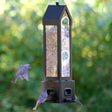 Squirrel Shield Metal Lantern Bird Feeder with birds flying near it; features weight-activated perches and a sliding metal sleeve to prevent squirrel access.