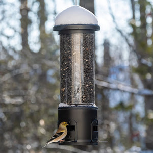 Squirrel Shield Choice Metal Bird Feeder with a bird perched on it, features weight-activated perches and a sliding metal sleeve to deter squirrels.