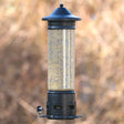 Squirrel Shield Pro Metal Bird Feeder showing a bird perched on it, demonstrating its weight-activated perches and clear seed tube.