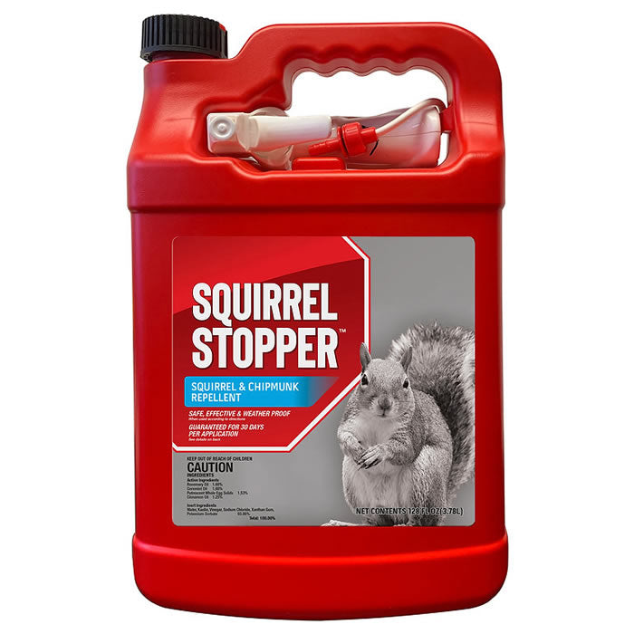 Squirrel Stopper Repellent, RTU with Nested Sprayer, a red plastic container with a black cap and label, effective for preventing squirrel and chipmunk activity.