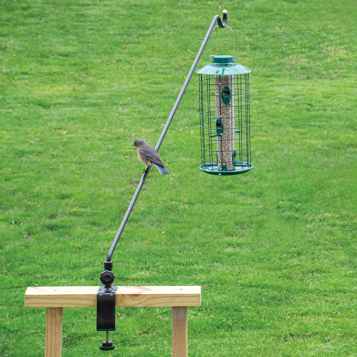 Swing Arm Deck Hanger, 23 or 44 Inch, with a bird perched on its feeder, showcasing its 360-degree swivel for easy filling.