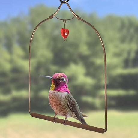 Copper Hummingbird Swing with Jewel: A hummingbird perches on a copper swing with a decorative red bead, near a bird feeder.