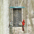 Sunflower Seed Bird Feeder, Green, with sparrows and a cardinal perched on its rim, features a durable mesh design ideal for clinging birds.
