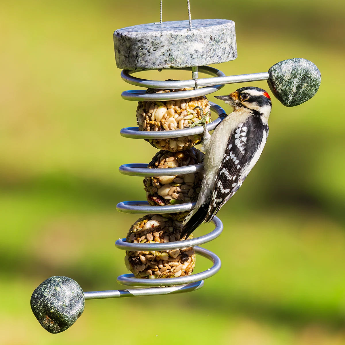 Sea Stones Smorgasball Seed & Suet Ball Feeder: A woodpecker eats from a unique, round bird feeder with stone perches, suited for holding seed or suet balls.