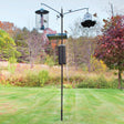 Squirrel-Proof Bird Feeding Station with three arms, 22-inch outreach, and black pole in a grassy outdoor setting. Bird perched on feeder.