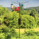 Squirrel-Proof Four Arm Bird Feeding Station with birds perched, featuring a squirrel baffle and durable black pole, standing in an outdoor setting.