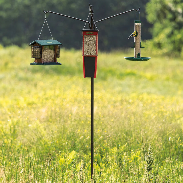 Three Arm Extended Reach Bird Feeding Station in a grassy field, featuring multiple feeders on a tall black pole with wide-reaching arms for optimal bird viewing.