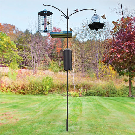 Squirrel-Proof Bird Feeding Station with three arms, 22-inch outreach, and black pole in a grassy outdoor setting. Bird perched on feeder.
