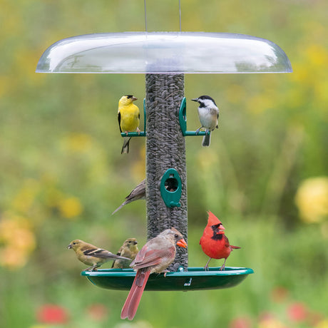 Tube Bird Feeders