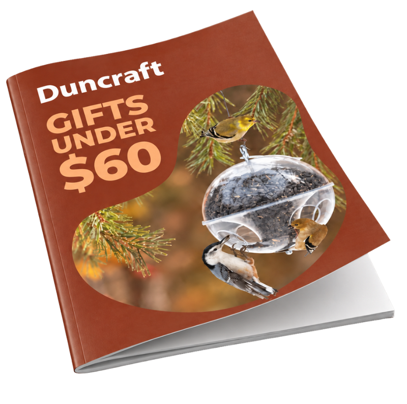 Gift guide cover