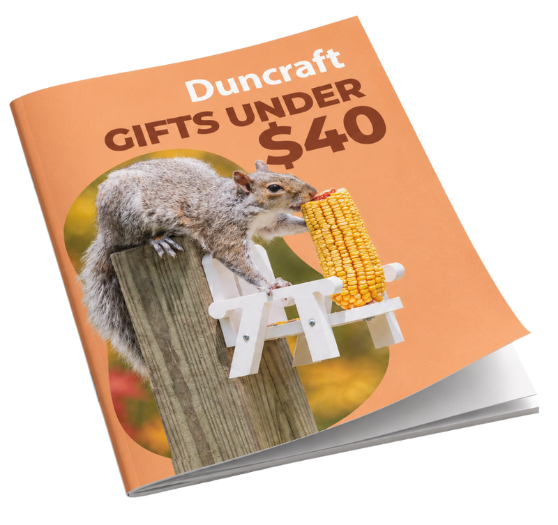 Gift guide cover