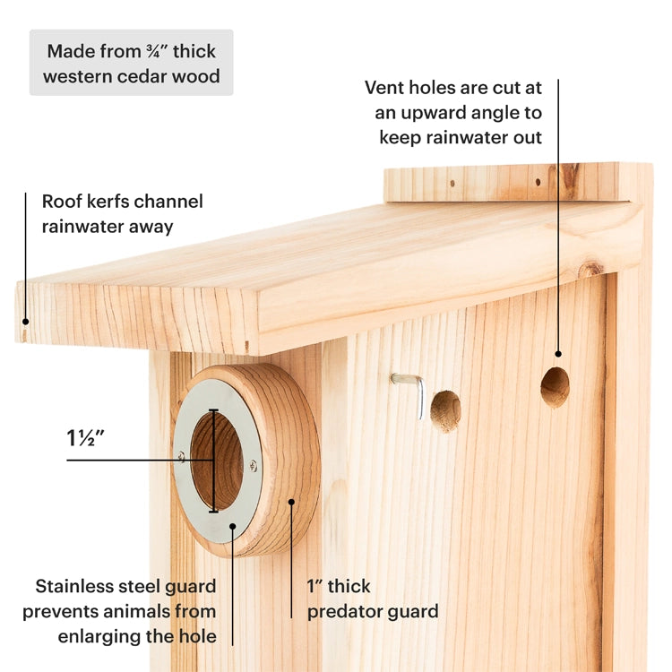 Premium Cedar Bird House