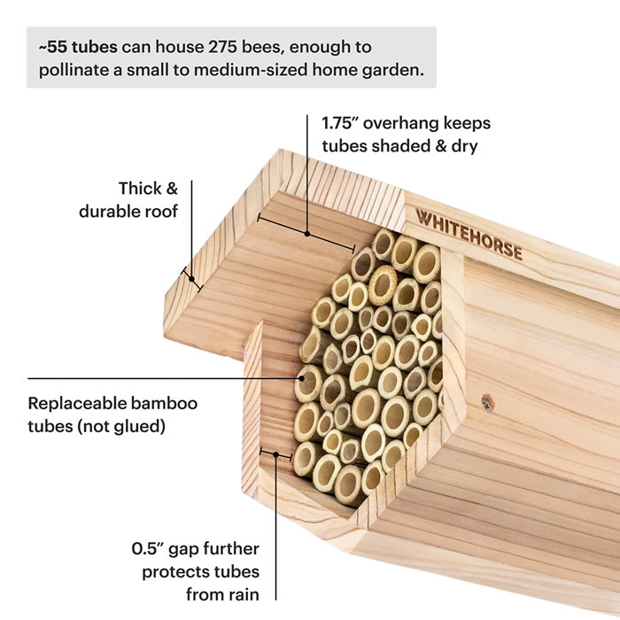 Bee House with bamboo tubes inside a wooden box, designed to support local bee populations and protect from weather, featuring 55 tubes for pollination.