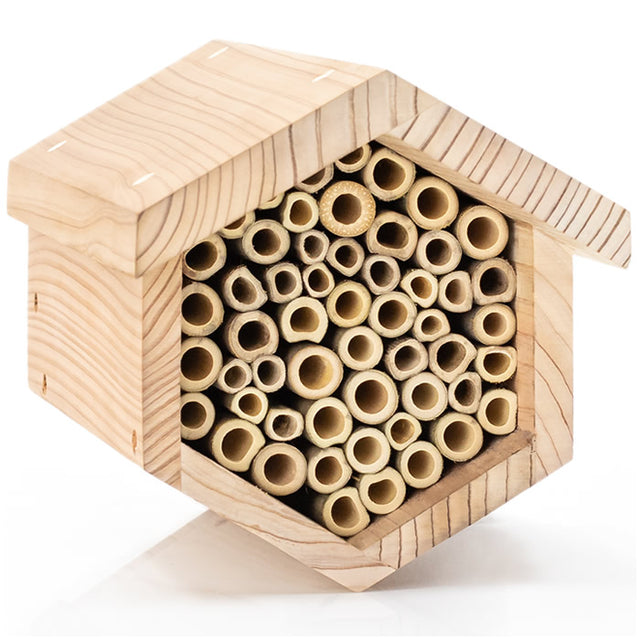 Bee House with bamboo tubes in a wooden hexagon box; designed to support local bee populations and pollinate gardens.