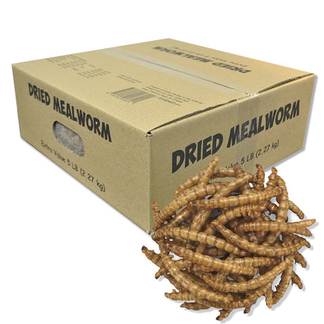 Dried Mealworm, 5 lbs., in a cardboard box, ideal for bluebirds and insect-eating birds, protein-rich, nutritious, and easy to store.