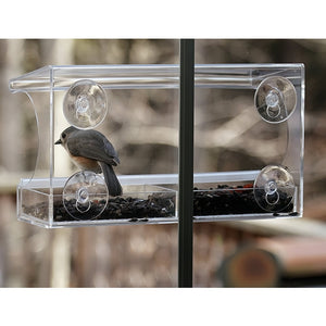 Window Bird Feeder with clear viewing areas, removable seed tray, and four suction cups. Bird perched in feeder, showcasing easy birdwatching capabilities.