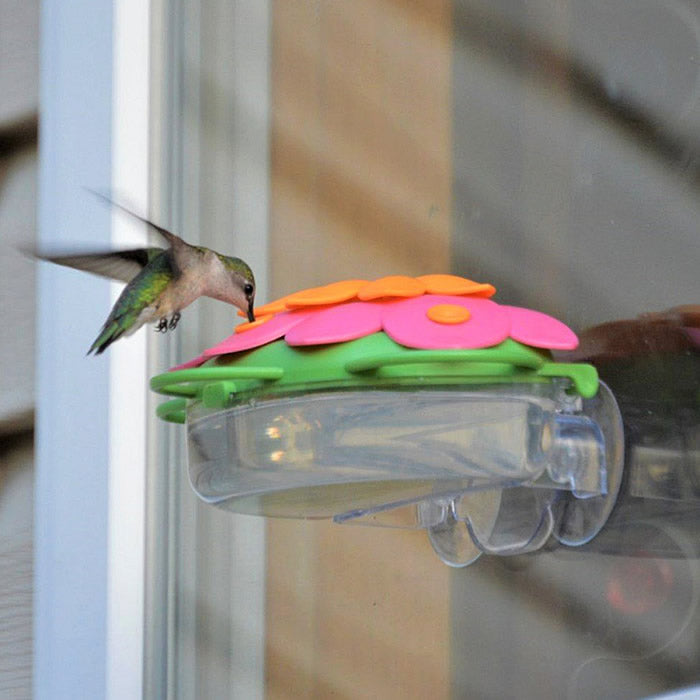 So Real Window Flower Hummingbird Feeder, Honeysuckle, with dome lid and clear dish, showing a hummingbird feeding at one of the three stations.