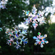 Snowflake Window Gems, Set of 9, prismatic decals on a window to prevent bird strikes, featuring intricate snowflake designs for visual appeal and bird safety.