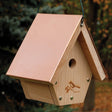 Coppertop Hanging Wren House with cedar construction, decorative laser-etched wren design, copper roof, circular entry hole, and hanging cable; designed for ventilation and drainage.