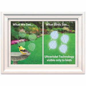 Picture frame with a bird on a bird bath, featuring Aspen Leaf WindowAlert Decals to prevent bird-window collisions, set of 8, for outdoor window application.