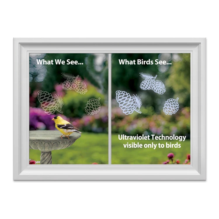 Comparison of what humans and birds see, with ultraviolet technology visible only to birds.