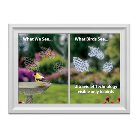 Comparison of what humans and birds see, with ultraviolet technology visible only to birds.