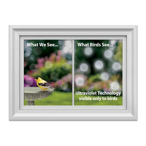 Comparison of what humans and birds see, using ultraviolet technology, with a bird perched on a feeder.