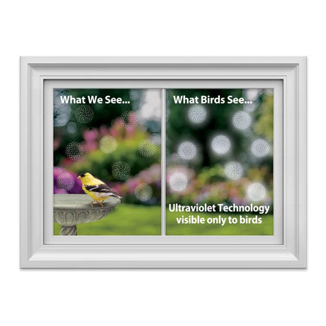 Comparison of what humans and birds see, using ultraviolet technology, with a bird perched on a feeder.