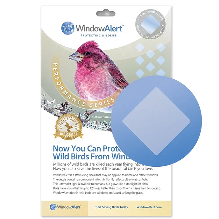 WindowAlert product packaging with a bird image and text about protecting wild birds from windows.