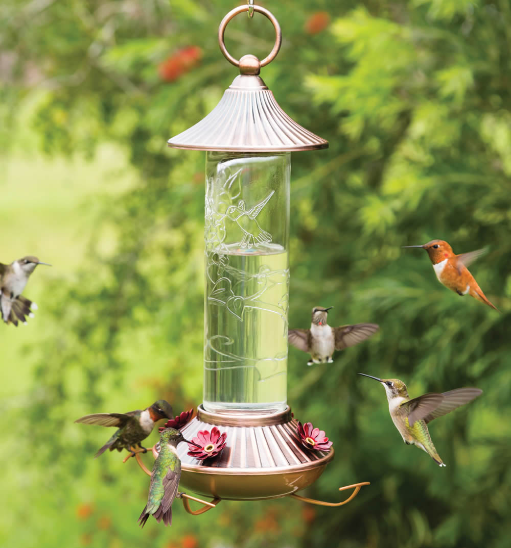 14 oz. Embossed Glass Hummingbird Feeder with red flower-shaped ports, clear glass reservoir, and copper-colored base, hanging outdoors with hummingbirds feeding and flying around.