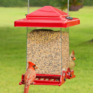 Reflective Red Vista Feeder with weight-activated perches, a red bird feeding. Durable metal hanger, clear sides for viewing seed levels, and an overhanging roof for protection.