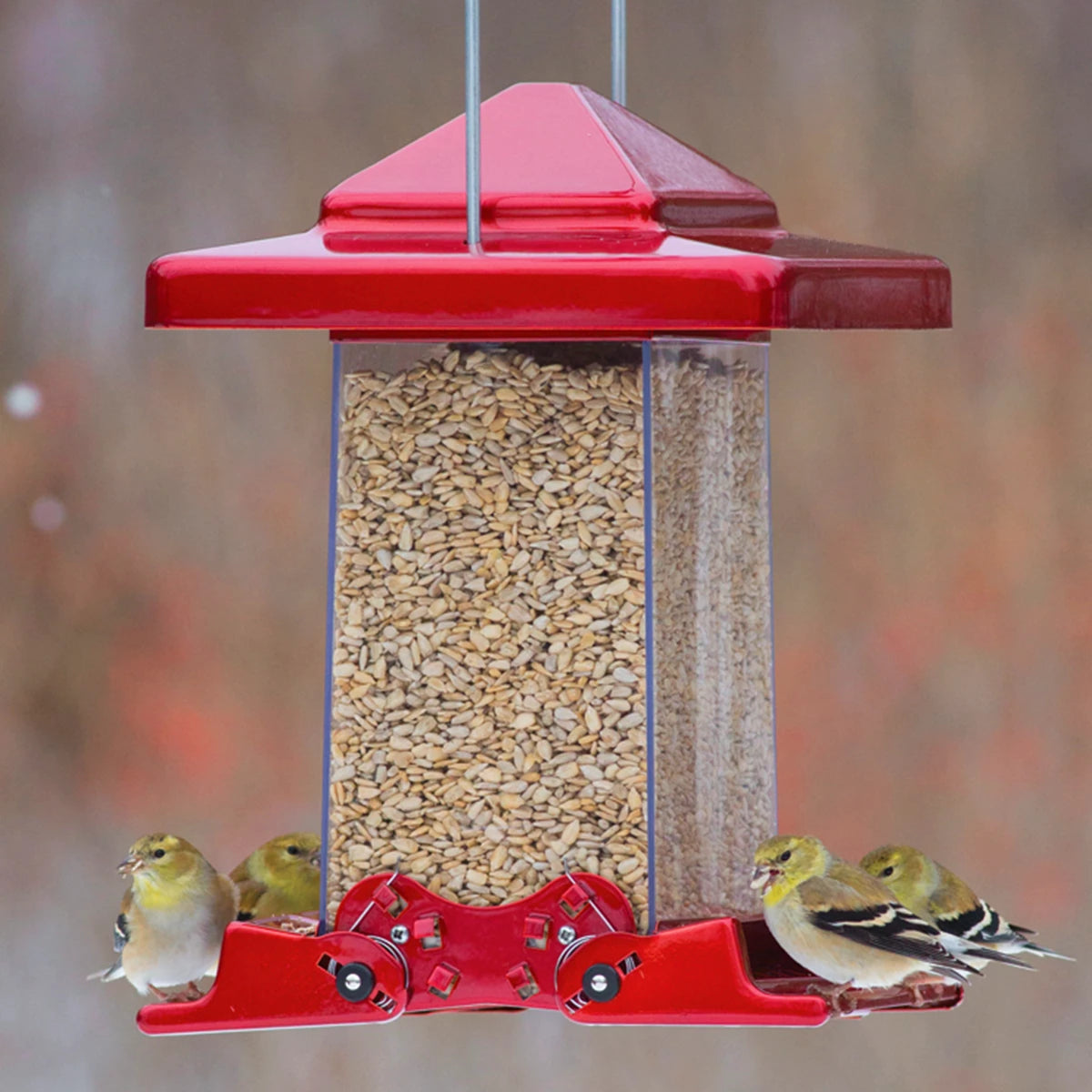 Reflective Red Vista Feeder with birds feeding; features two weight-activated perches, clear acrylic sides, and a heavy-duty metal hanger. Holds 6 lbs.