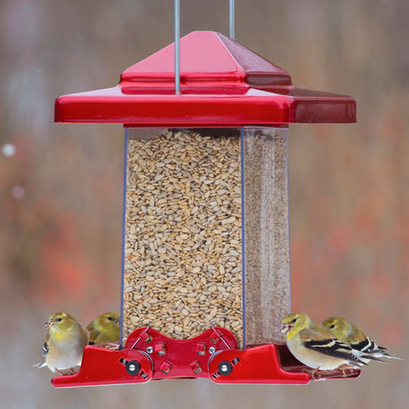 Reflective Red Vista Feeder with birds feeding; features two weight-activated perches, clear acrylic sides, and a heavy-duty metal hanger. Holds 6 lbs.