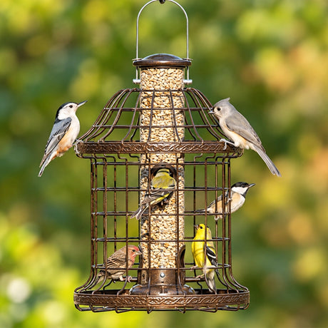 Woodlink Caged Feeder with small birds perched on it, featuring metal wire caging and a clear plastic seed tube.