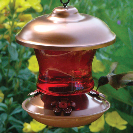 16 oz. Ruby Glass Hummingbird Feeder with red metal flower ports, featuring a red glass reservoir and coppertop, shown with a hummingbird feeding.