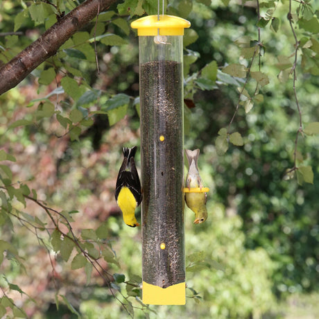 Upside Down Finch Feeder with a yellow and black bird eating from one of the six feeding ports, designed for easy filling and cleaning.