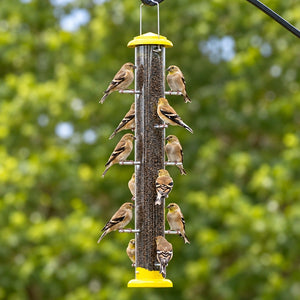 Goldfinches feeding from a yellow Nyjer tube bird feeder hanging against a softly blurred green backyard.