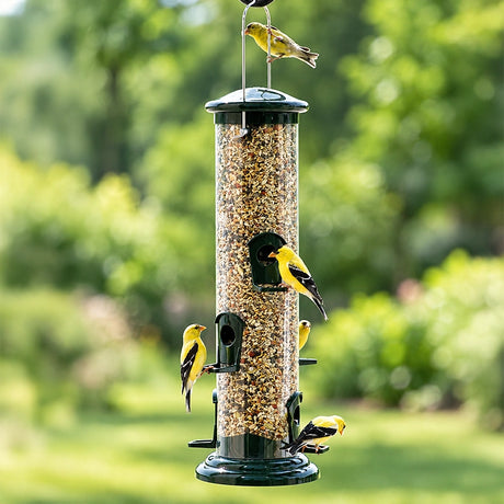 American goldfinches feeding from a large green tube bird feeder filled with bird seed, hanging in a lush backyard.