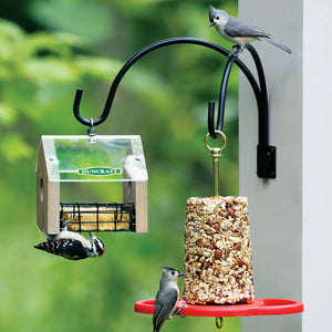 12 Double Wall Mount Hanger holding a bird feeder, with birds feeding. Features double arm, black powder coating, and heavy gauge back plate.