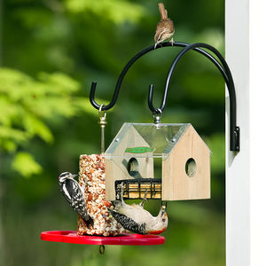 12 Double Wall Mount Hanger supporting bird feeders and birds perched, showcasing its sturdy design and versatility for outdoor bird feeding stations.