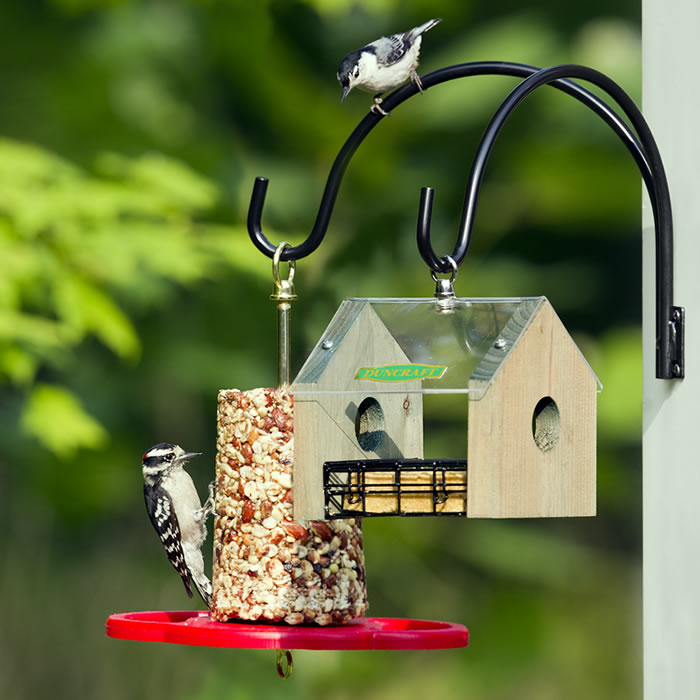 12 Double Wall Mount Hanger with a bird feeder and bird attached, ideal for hanging feeders or chimes, supports up to 15 lbs.