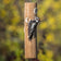 Attractor Woodpecker Filled Suet Plug Feeder with a Downy Woodpecker clinging, feeding on premium suet plugs in a handmade log, ideal for attracting more birds.