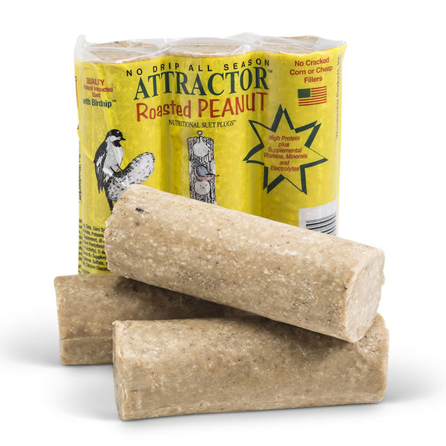 Attractor Roasted Peanut Suet Plugs, 12 Plugs, shown in yellow packaging with brown suet logs, designed to attract birds with natural ingredients.