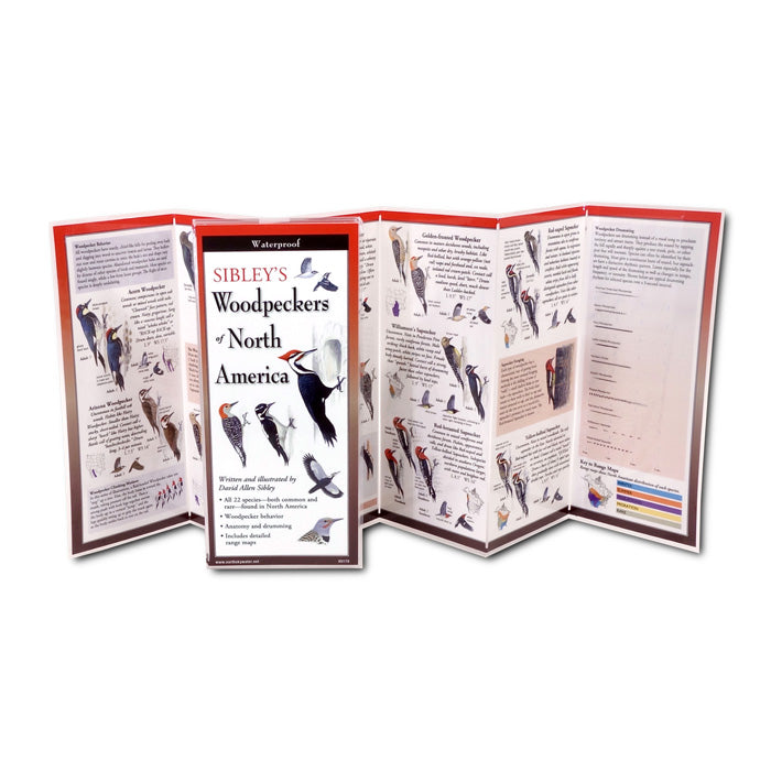 Sibley's Woodpeckers of North America Folding Guide – Duncraft