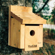 Woodlink Cedar Wren House mounted on a tree, featuring a 1-inch entry hole and built-in ventilation, designed to attract nesting wrens and protect against predators.